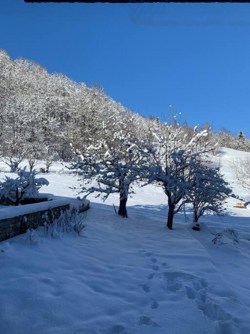 Meribel Chalet De Severine Les Allues Exteriör bild